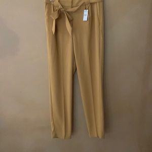 Express dress slacks